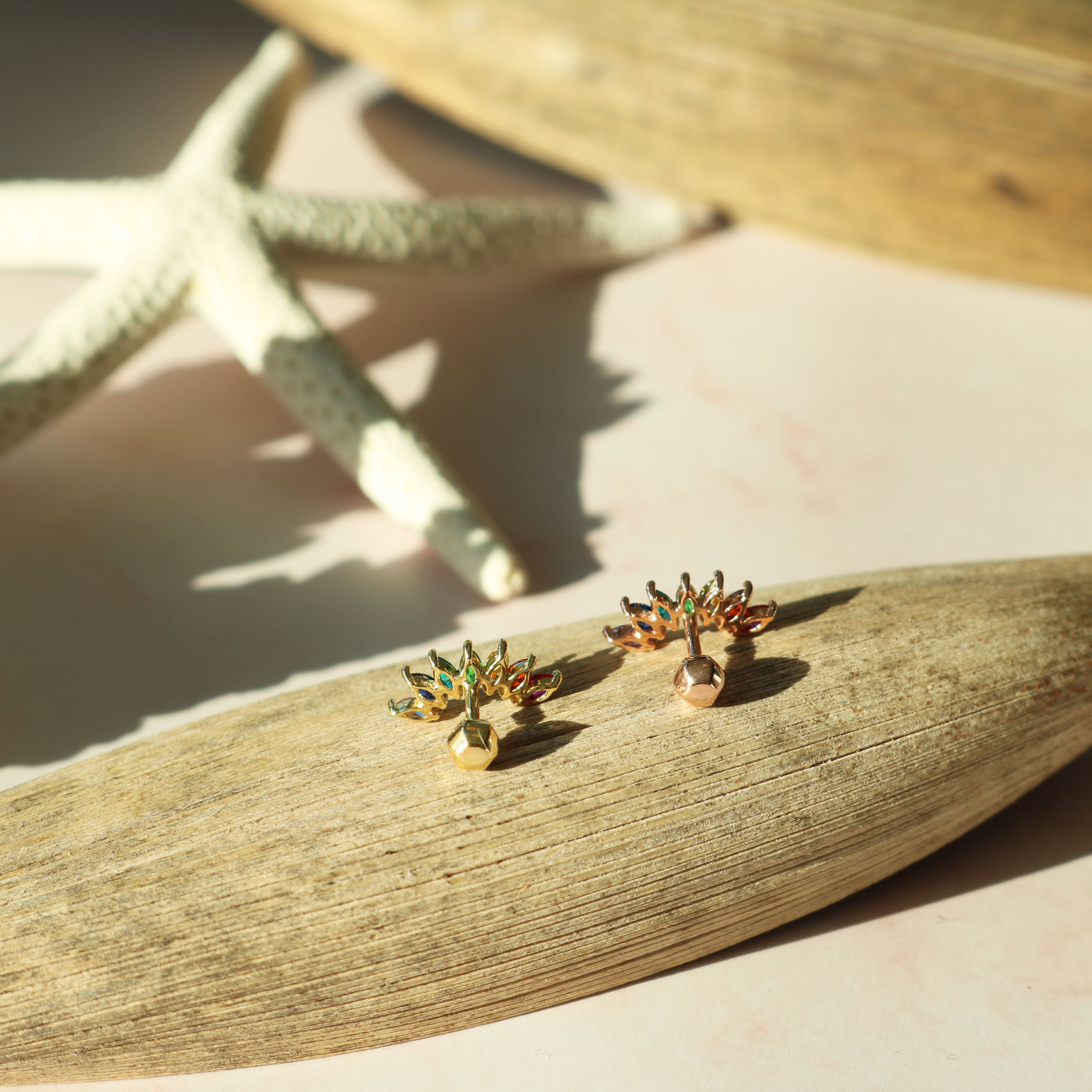 Rainbow wing barbell