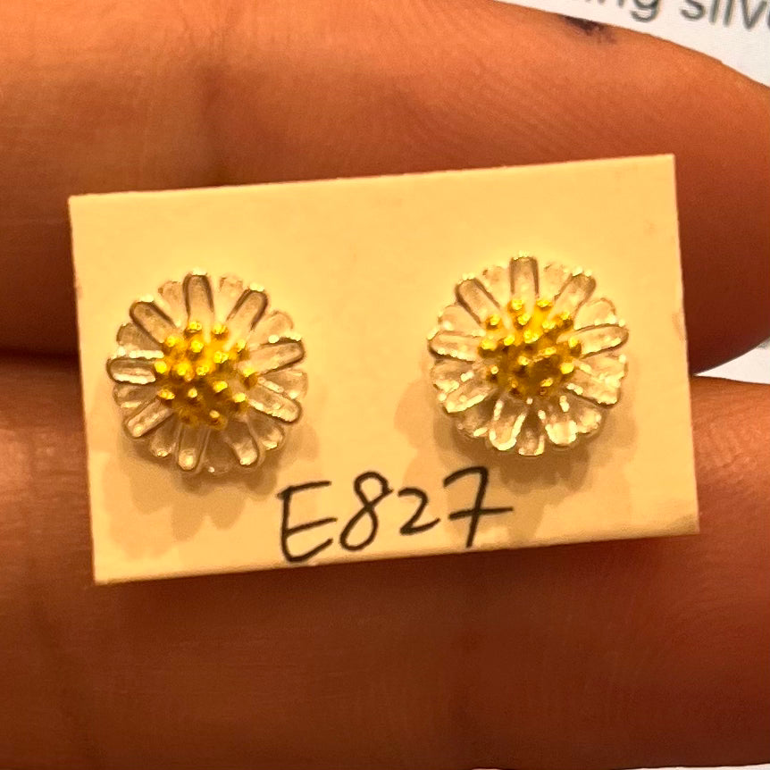 E827