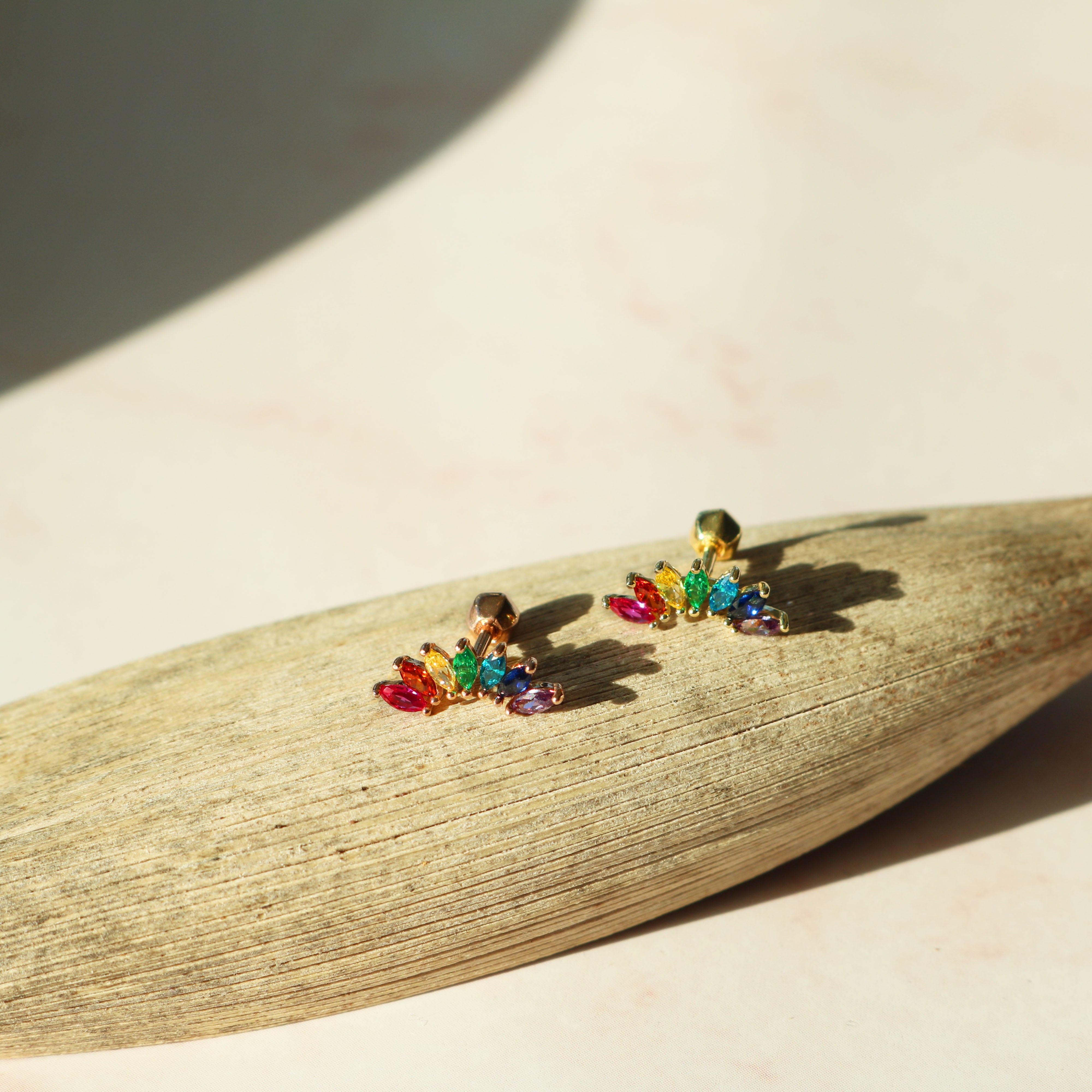 Rainbow wing barbell